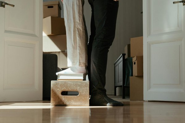 Ultimate handbook for thriving exotic indoor plants during the uk winter